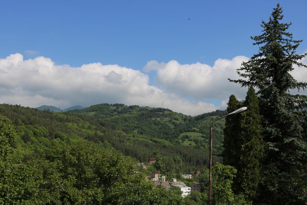 Dilijan Garden House Villa Eksteriør bilde